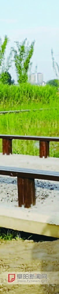 阜阳：颍河东岸又添新美景
