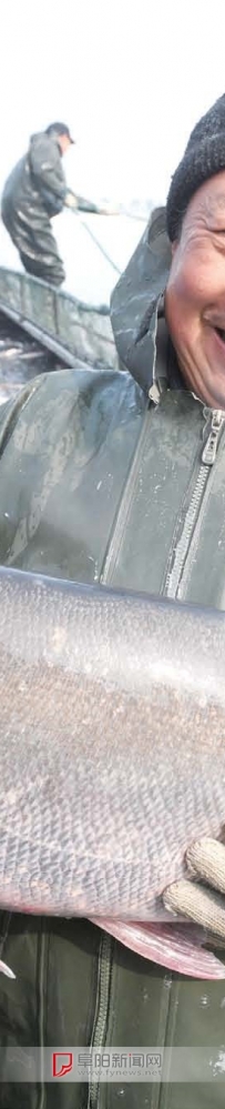 阜阳颍上八里河渔场冬捕进行时