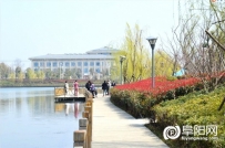 阜阳：春风又到彩蝶湖